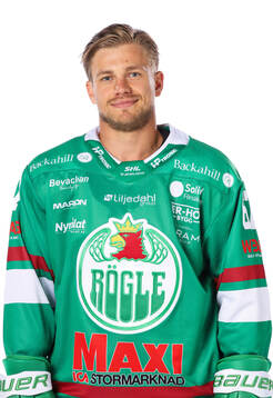Rögles Leon Bristedt