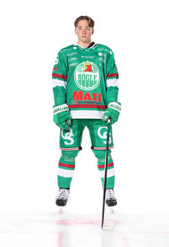 Rögles Axel Smeds