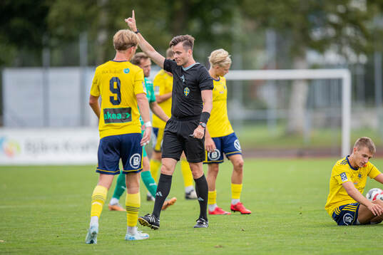 Domare Niclas Karlsson