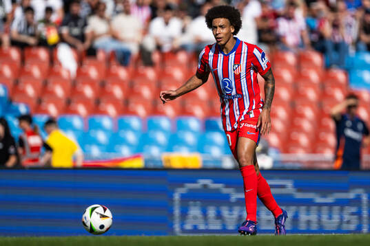 Axel Witsel of Atletico Madrid