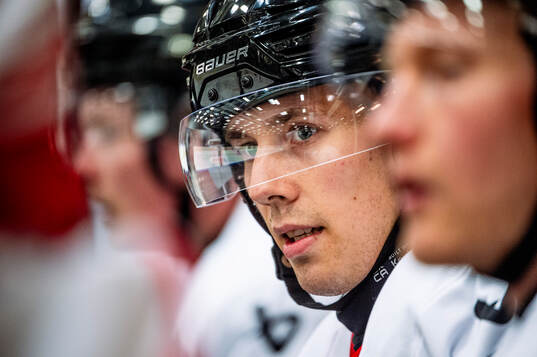 Bläddra bland fler bilder av Ishockey, SHL, Malmö Redhawks, Träning 