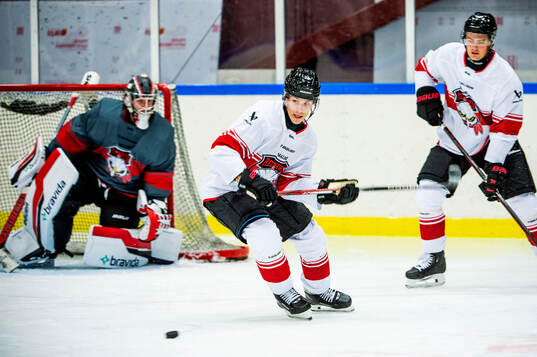 Henrik Haapala