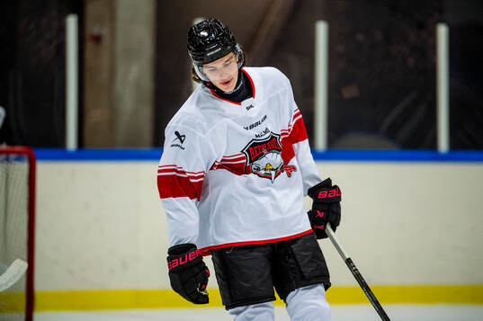 Dominik Badinka