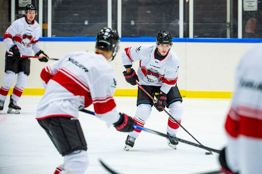 Henrik Haapala