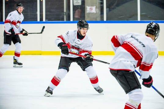 Henrik Haapala