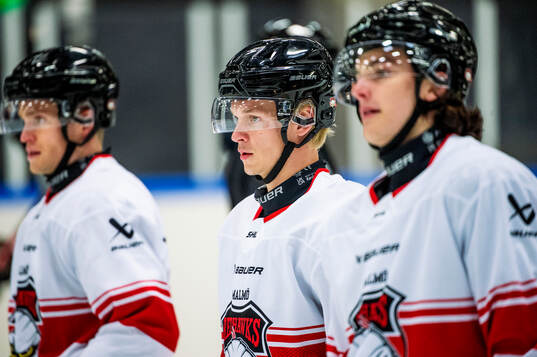 Joona Ikonen