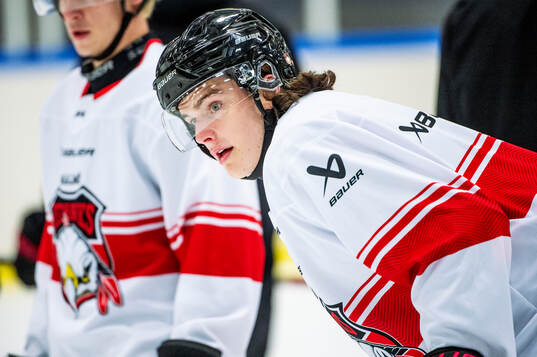 Dominik Badinka