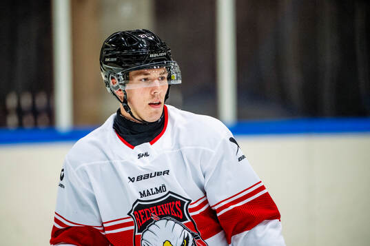 Henrik Haapala
