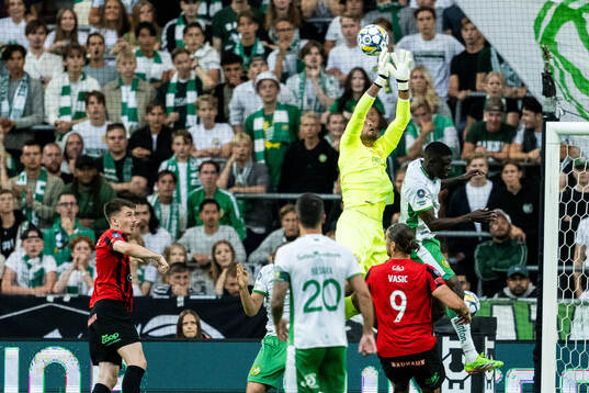 Hammarbys målvakt Warner Hahn