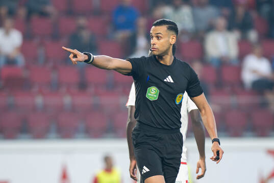 Domare Farouk Nehdi