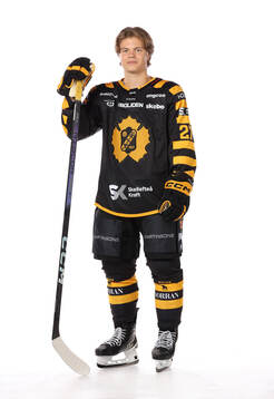 Bläddra bland fler bilder av Ishockey, SHL, Porträtt och Lagbild, Skellefteå