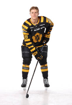 Skellefteås Michael Brandsegg-Nygård