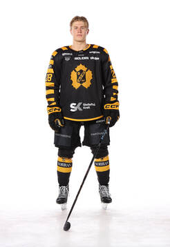 Skellefteås Michael Brandsegg-Nygård