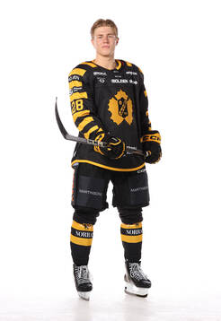 Skellefteås Michael Brandsegg-Nygård