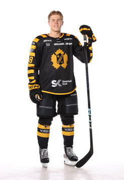 Skellefteås Michael Brandsegg-Nygård