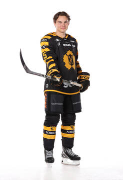 Skellefteås Axel Sandin Pelliikka