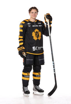 Skellefteås Axel Sandin Pelliikka