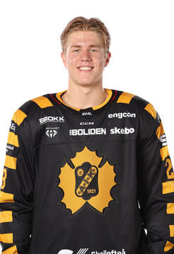 Skellefteås Michael Brandsegg-Nygård