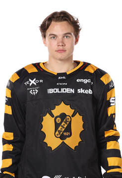 Skellefteås Axel Sandin Pelliikka