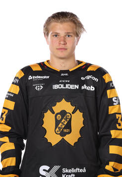 Skellefteås Zeb Forsfjäll