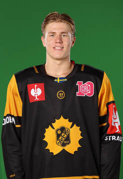 Skellefteås Michael Brandsegg-Nygård