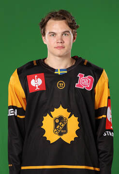 Skellefteås Axel Sandin Pelliikka