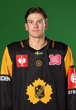 Skellefteås Pontus Johansson