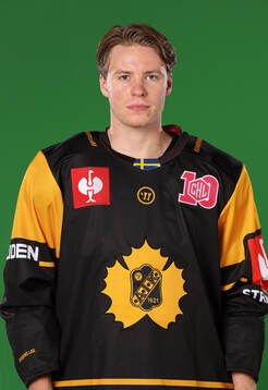 Skellefteås Rickard Hugg