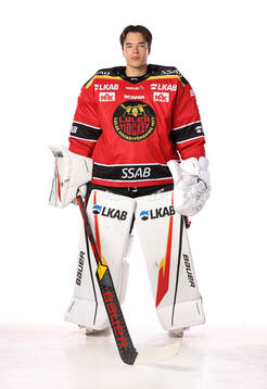 Luleås Matteus Ward