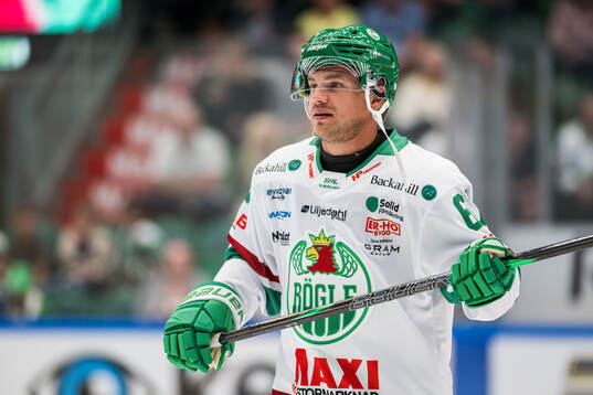 Rögles Leon Bristedt