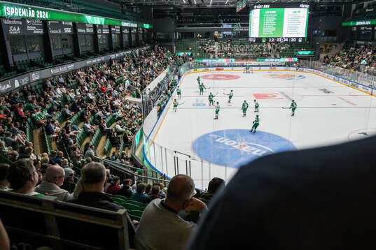 Rögle spelarna
