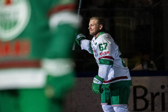 Rögles Leon Bristedt