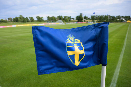 En hörnflagga på Ekrum Park