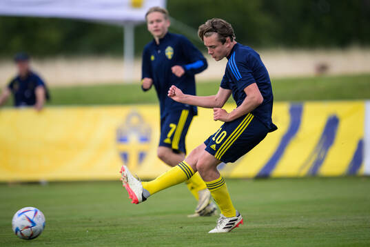 Sveriges Alexander Johansson