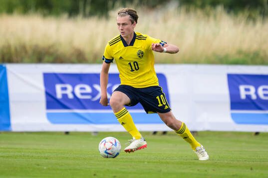 Sveriges Alexander Johansson