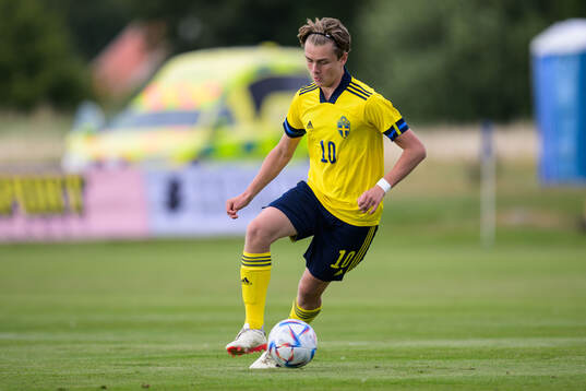 Sveriges Alexander Johansson