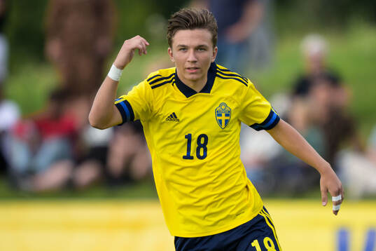 Sveriges Alexander Odefalk