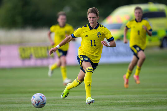 Sveriges Dion Mehmeti