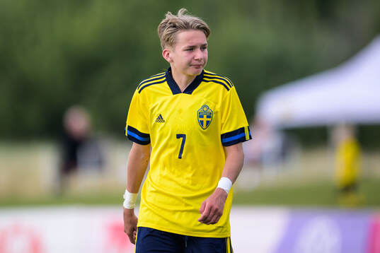 Sveriges Hugo Hoffsten