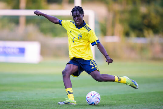 Sveriges Warren Ngana