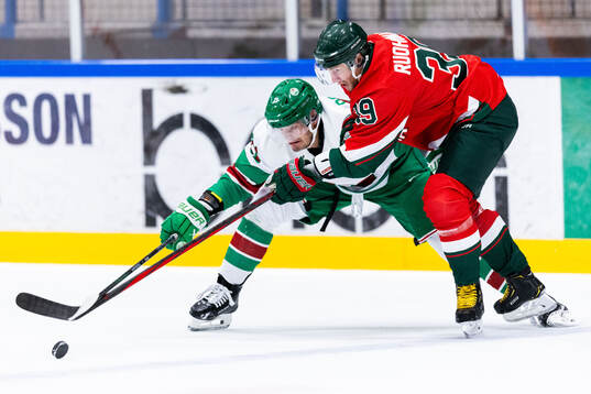 Rögles Henry Bowlby och Frölundas Mikael Ruohomaa
