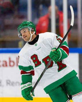 Rögles Leon Bristedt