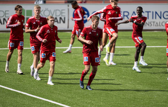 Skövdes spelare