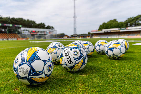 Fotbollar på gräsmattan