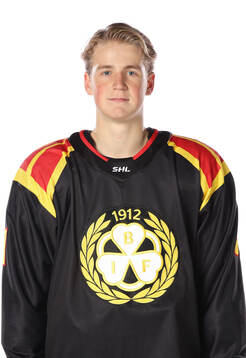 Brynäs Hugo Lejon
