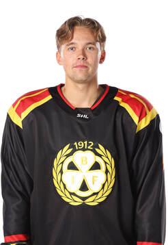 Brynäs Theo Lindstein