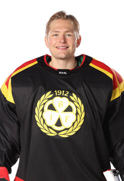 Brynäs Ludvig Persson