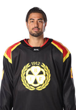 Brynäs Tyler Vesel