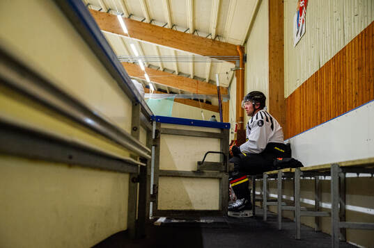 Bläddra bland fler bilder av Ishockey, SHL, Brynäs, Porträtt