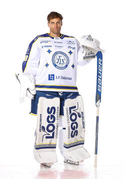 Leksands Mantas Armalis